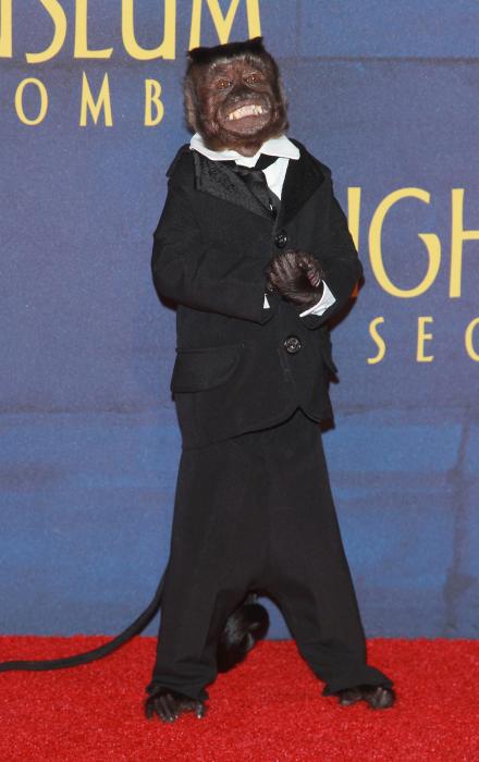 Crystal the Monkey در صحنه فیلم سینمایی شب در موزه