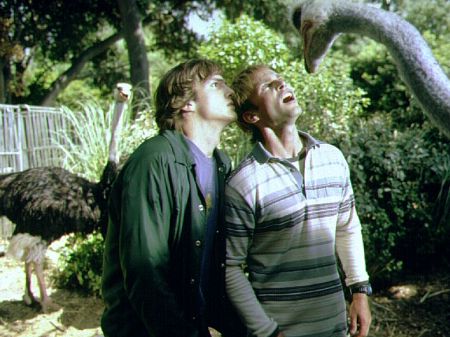  فیلم سینمایی احمق، ماشین من کجاست؟ با حضور Ashton Kutcher و Seann William Scott