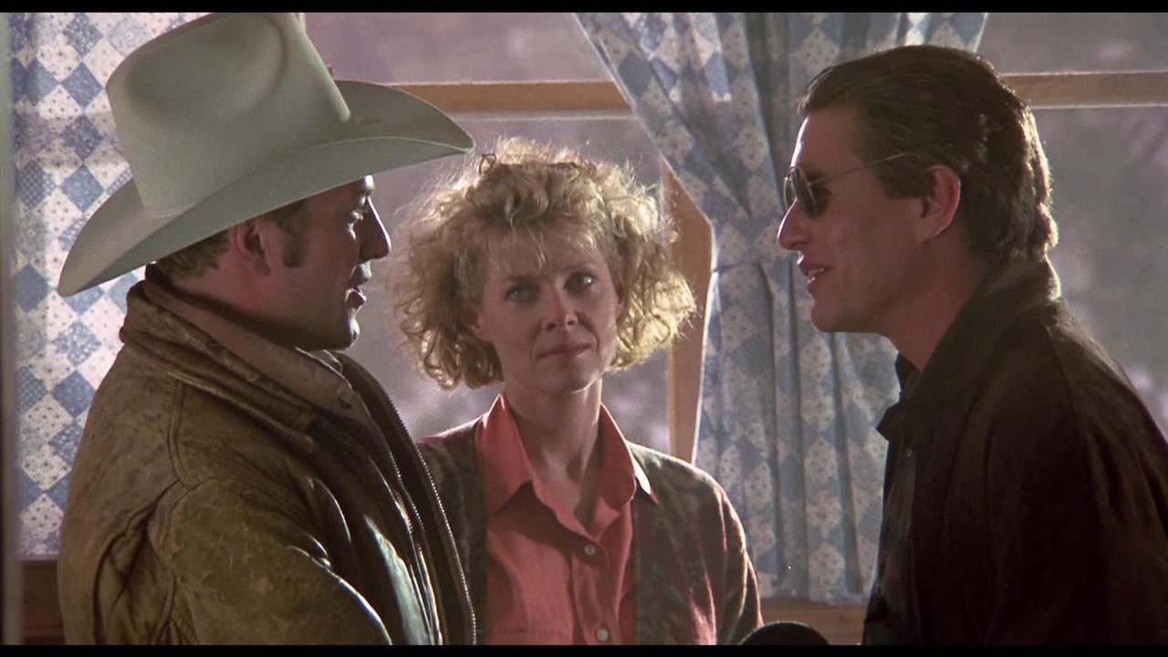 تد لواین در صحنه فیلم سینمایی Love at Large به همراه تام برنگر و کیت کپشا