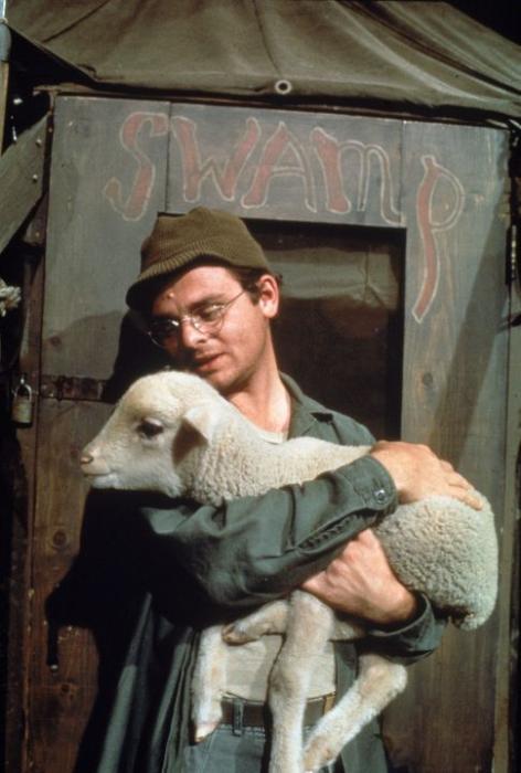 Gary Burghoff در صحنه سریال تلویزیونی M*A*S*H