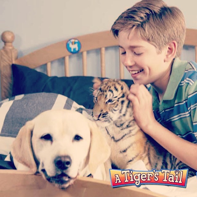 Will Spencer در صحنه فیلم سینمایی A Tiger's Tail