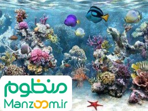  فیلم سینمایی آبی و آرام به کارگردانی 