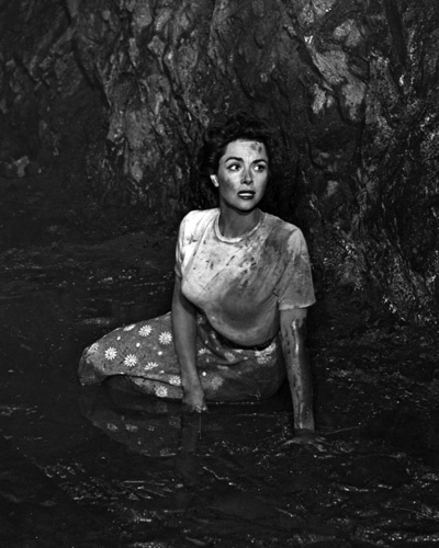Dana Wynter در صحنه فیلم سینمایی Invasion of the Body Snatchers