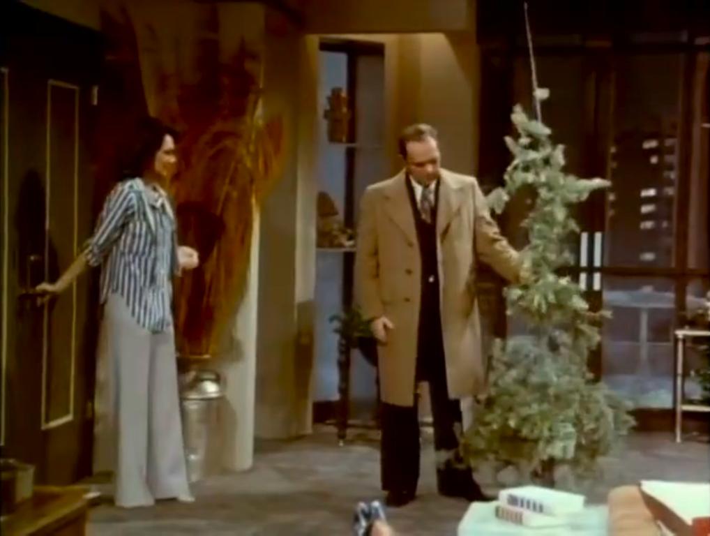  سریال تلویزیونی The Bob Newhart Show به کارگردانی Alan Myerson و Jay Sandrich و George Tyne و Peter Baldwin و Peter Bonerz و Alan Rafkin و Jerry London و Michael Zinberg و Dick Martin و James Burrows