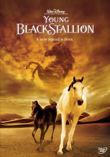  فیلم سینمایی The Young Black Stallion به کارگردانی Simon Wincer