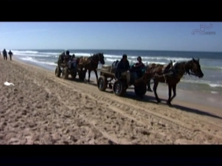  فیلم سینمایی غزه به کارگردانی ندارد