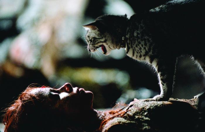  فیلم سینمایی زن گربه ای با حضور هلی بری