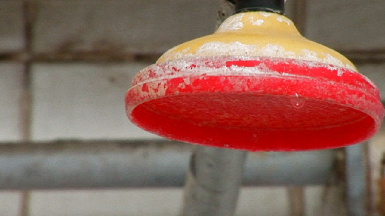  فیلم سینمایی گرمابان به کارگردانی شهرام میراب اقدم