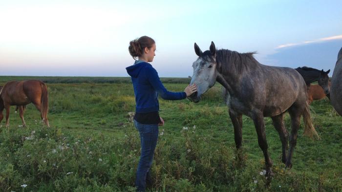  فیلم سینمایی Of Girls and Horses با حضور Ceci Chuh