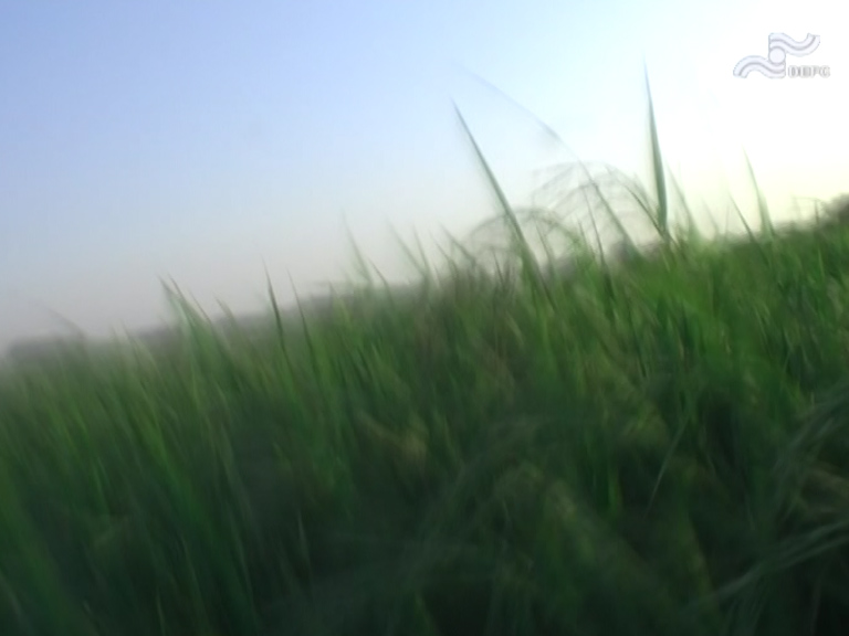  فیلم سینمایی پیامبر به کارگردانی سید احمد میر احسان