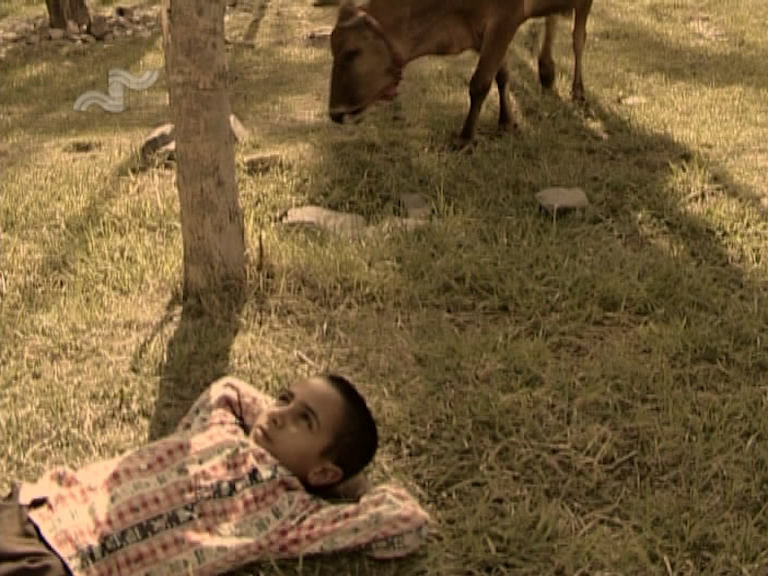  فیلم سینمایی قصه ها به کارگردانی مهدی جعفری