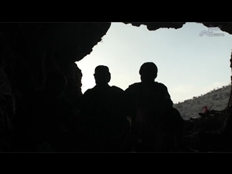  فیلم سینمایی مادرم بلوط به کارگردانی ندارد