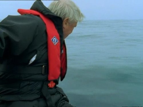  سریال تلویزیونی زندگی پستانداران به کارگردانی دیوید اتنبرو