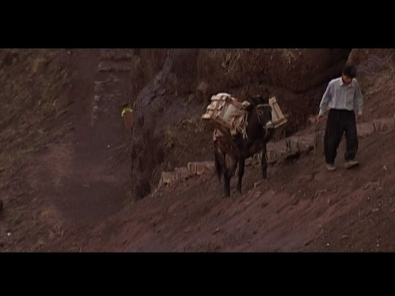  فیلم سینمایی خون است دلم برای ایران به کارگردانی سیدجواد میرهاشمی