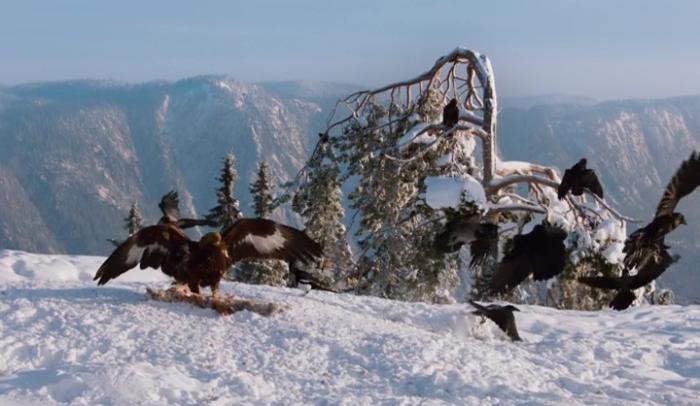  سریال تلویزیونی سیاره زمین 2 به کارگردانی 