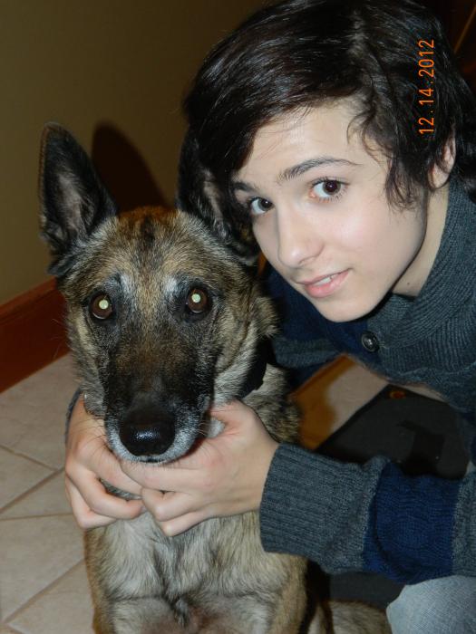  فیلم سینمایی Step Dogs با حضور Dylan Schmid