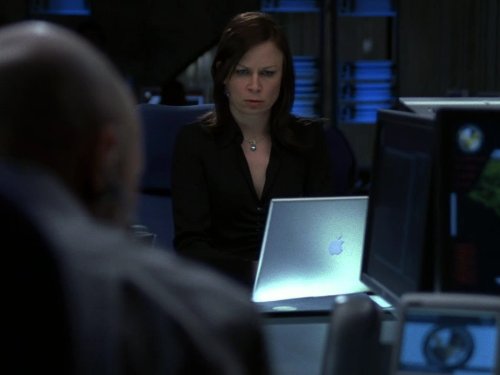 Mary Lynn Rajskub در صحنه سریال تلویزیونی 24