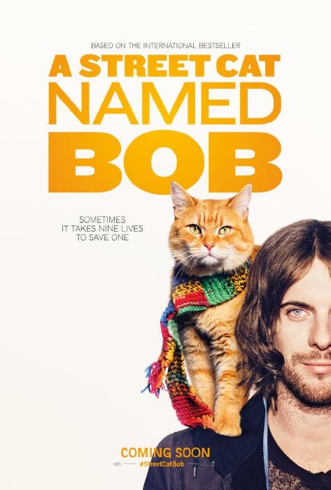 Bob the Cat در صحنه فیلم سینمایی یک گربه خیابانی به نام باب به همراه لوک تریداوی
