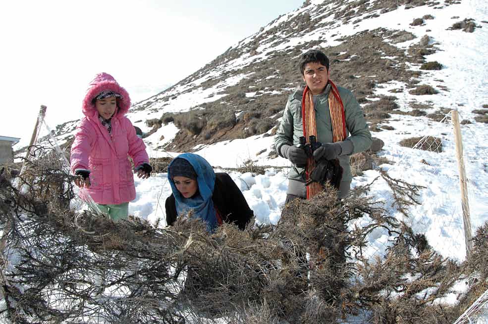  فیلم سینمایی دامنه های سفید به کارگردانی محمدابراهیم معیری