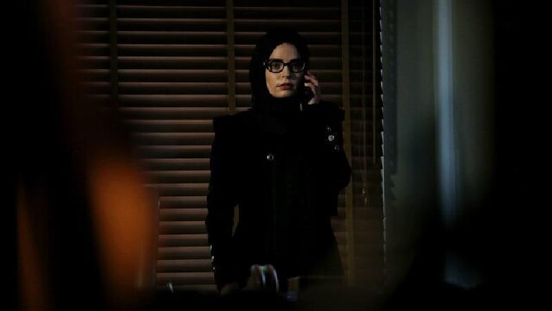  سریال تلویزیونی تازه وارد به کارگردانی رضا کشاورزی