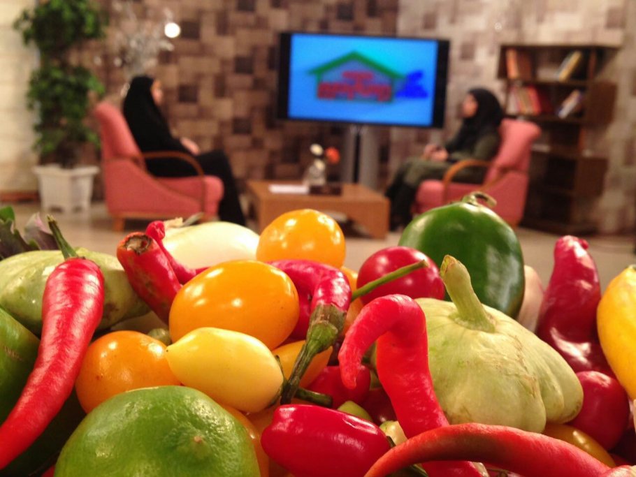  برنامه تلویزیونی به خانه برمیگردیم به کارگردانی ندارد