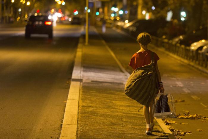  فیلم سینمایی Misunderstood به کارگردانی آزیا آرجنتو