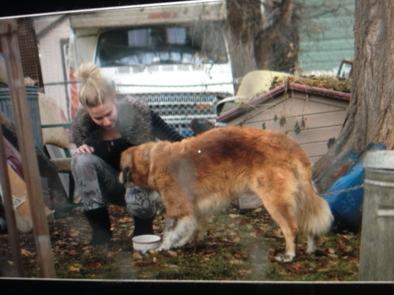  فیلم سینمایی A Dog's Purpose با حضور Nicole LaPlaca