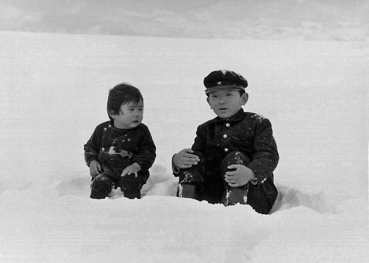  فیلم سینمایی Boy به کارگردانی Nagisa Ôshima