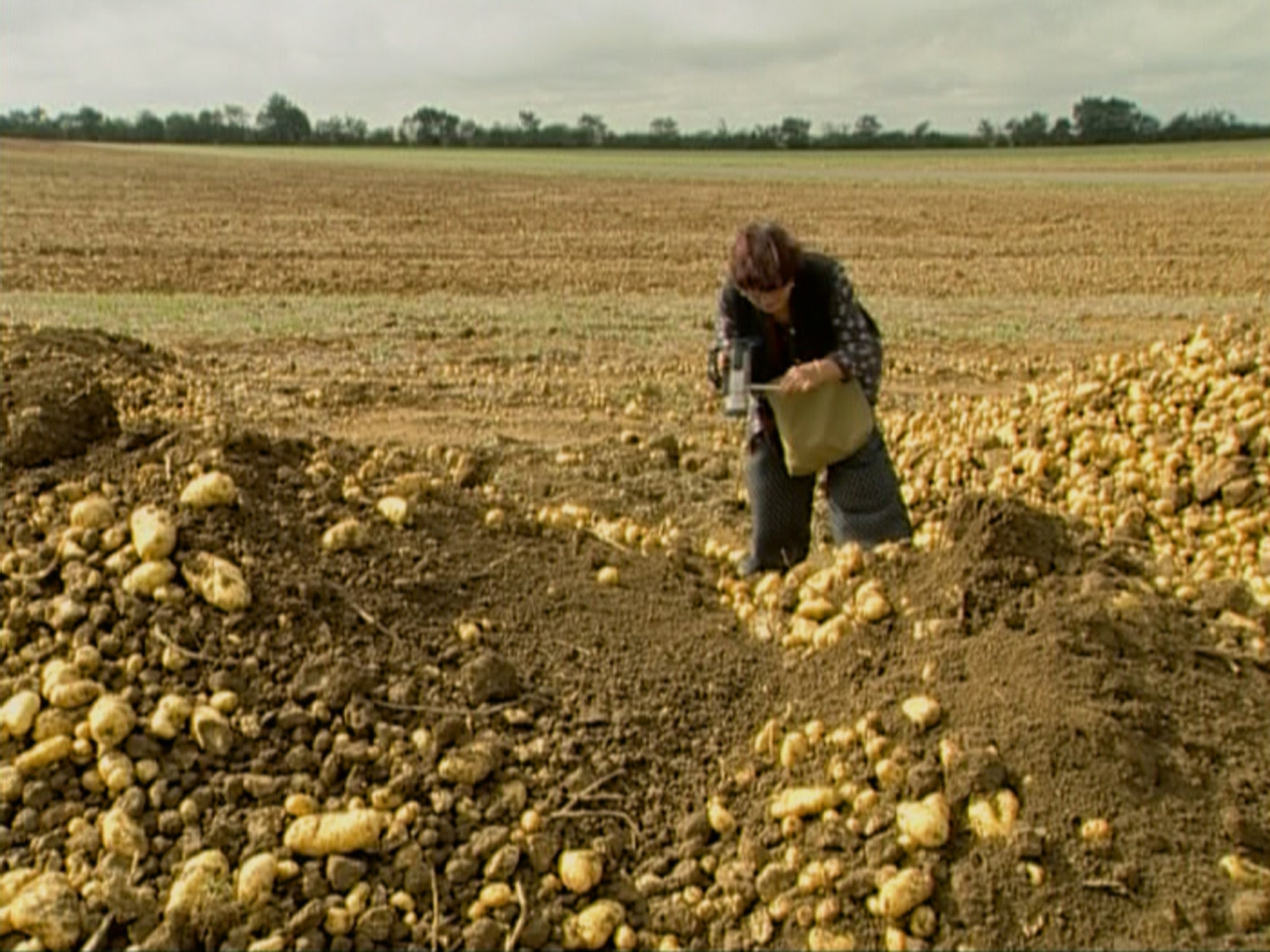  فیلم سینمایی The Gleaners & I به کارگردانی Agnès Varda