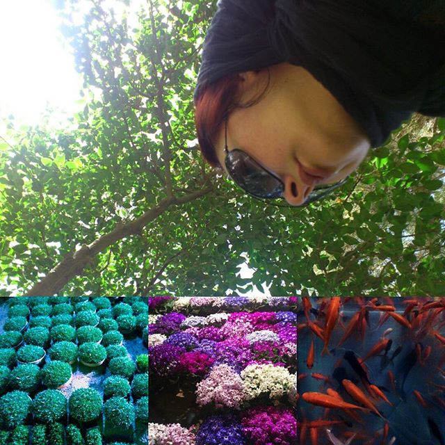 تصویری شخصی از ماهایا پطروسیان، بازیگر سینما و تلویزیون