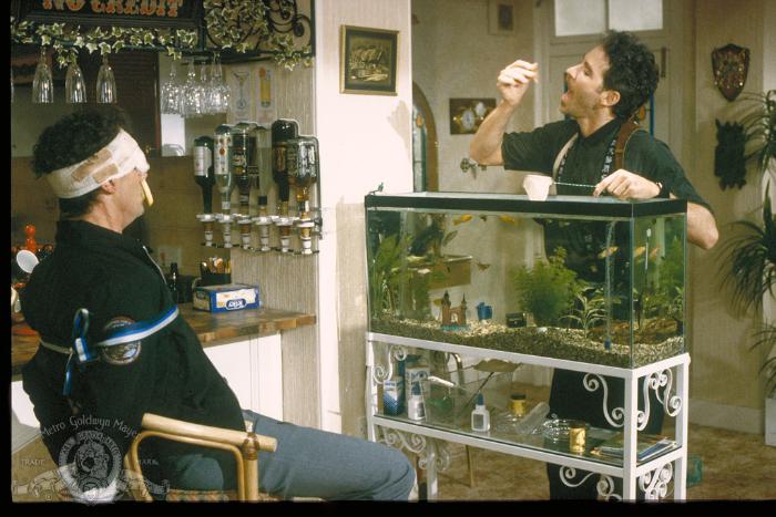 Michael Palin در صحنه فیلم سینمایی ماهی به نام وندا به همراه کوین کلاین