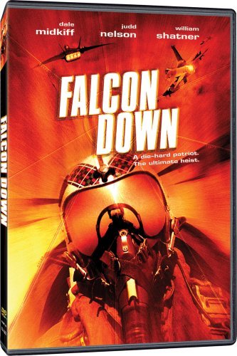  فیلم سینمایی Falcon Down به کارگردانی Phillip J. Roth