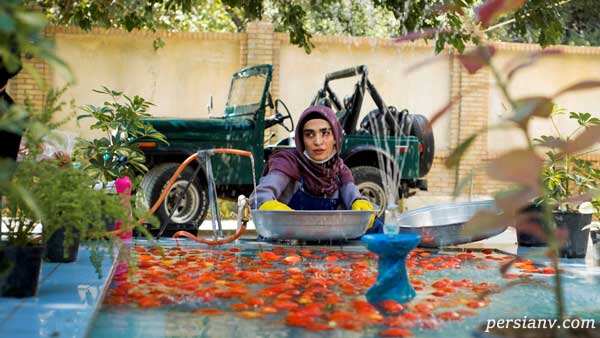  سریال تلویزیونی بعد از آزادی به کارگردانی محمدعلی باشه‌آهنگر