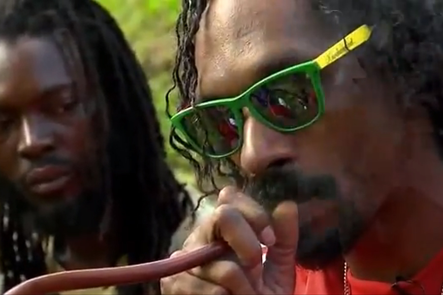  فیلم سینمایی Reincarnated با حضور Snoop Dogg