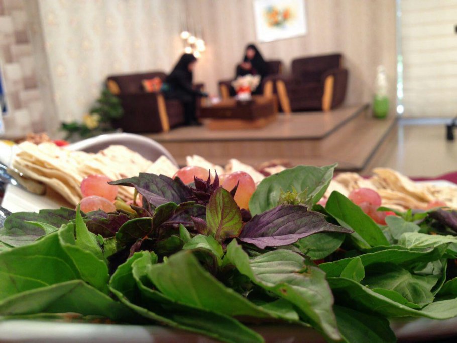  برنامه تلویزیونی به خانه برمیگردیم به کارگردانی ندارد