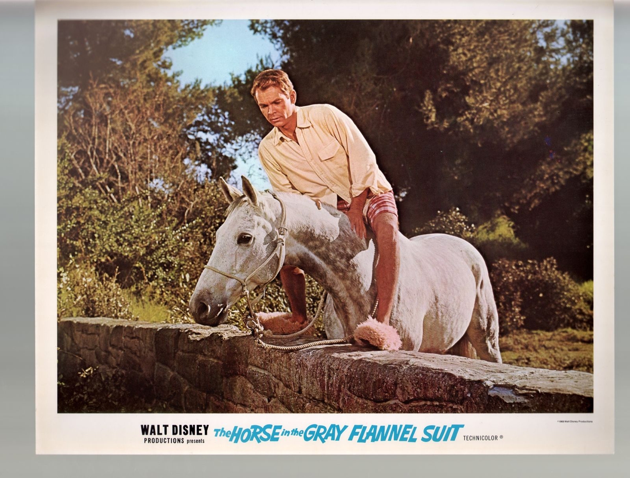 Dean Jones در صحنه فیلم سینمایی The Horse in the Gray Flannel Suit