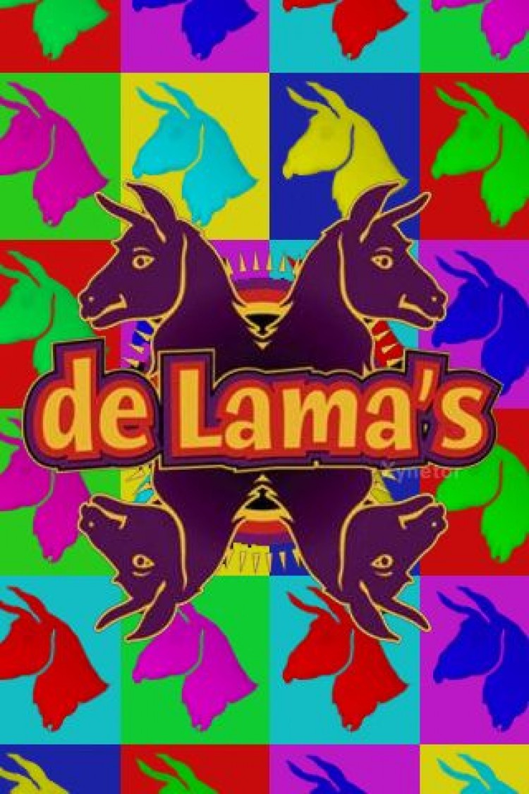  سریال تلویزیونی De lama's به کارگردانی 