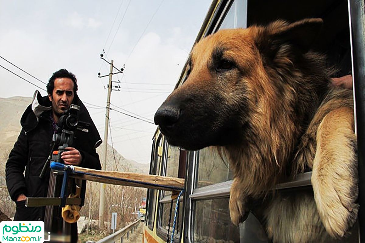  فیلم سینمایی پات به کارگردانی 