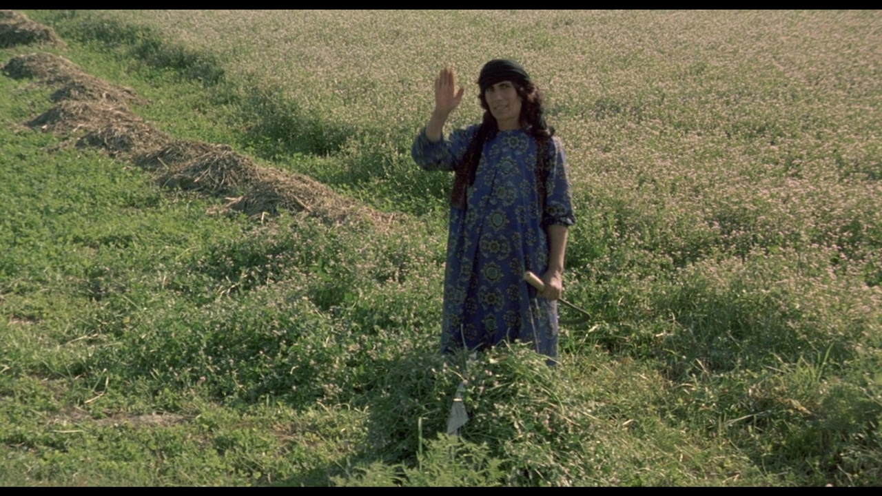  فیلم سینمایی The Wind Will Carry Us به کارگردانی Abbas Kiarostami