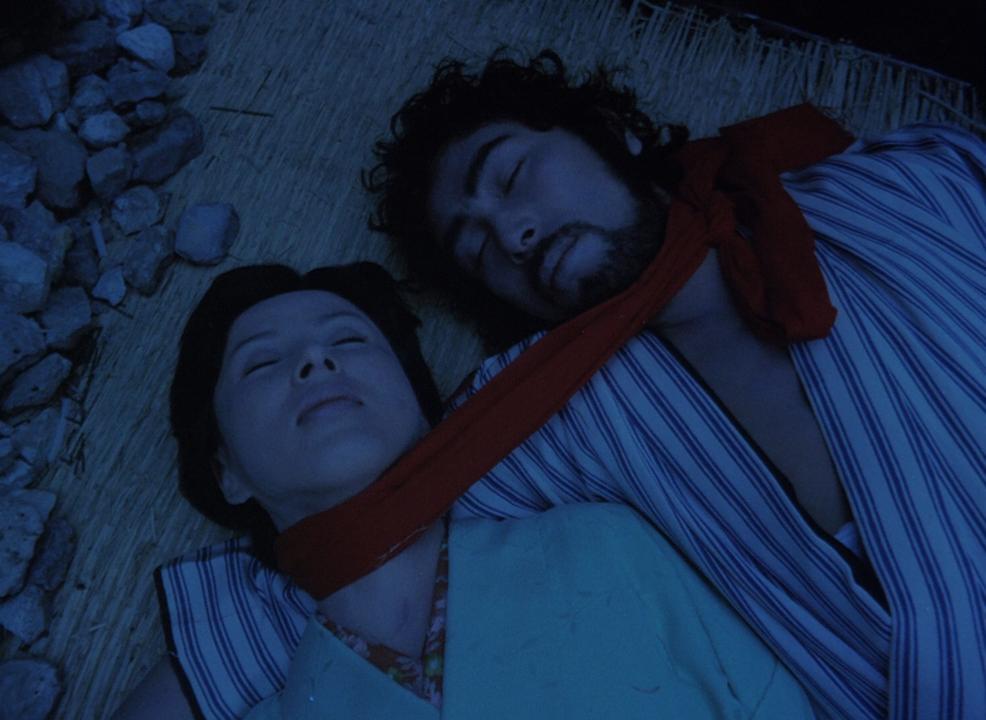  فیلم سینمایی Pastoral Hide and Seek به کارگردانی Shûji Terayama