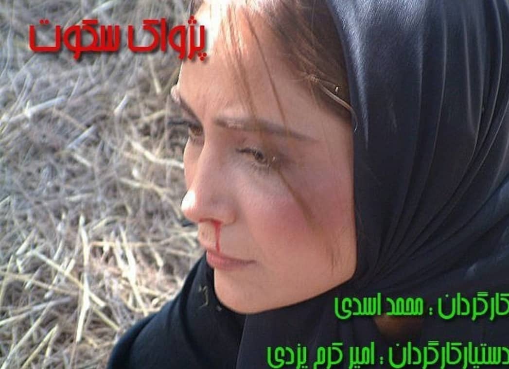 امیر کرم یزدی، کارگردان و نویسنده سینما و تلویزیون - عکس اکران