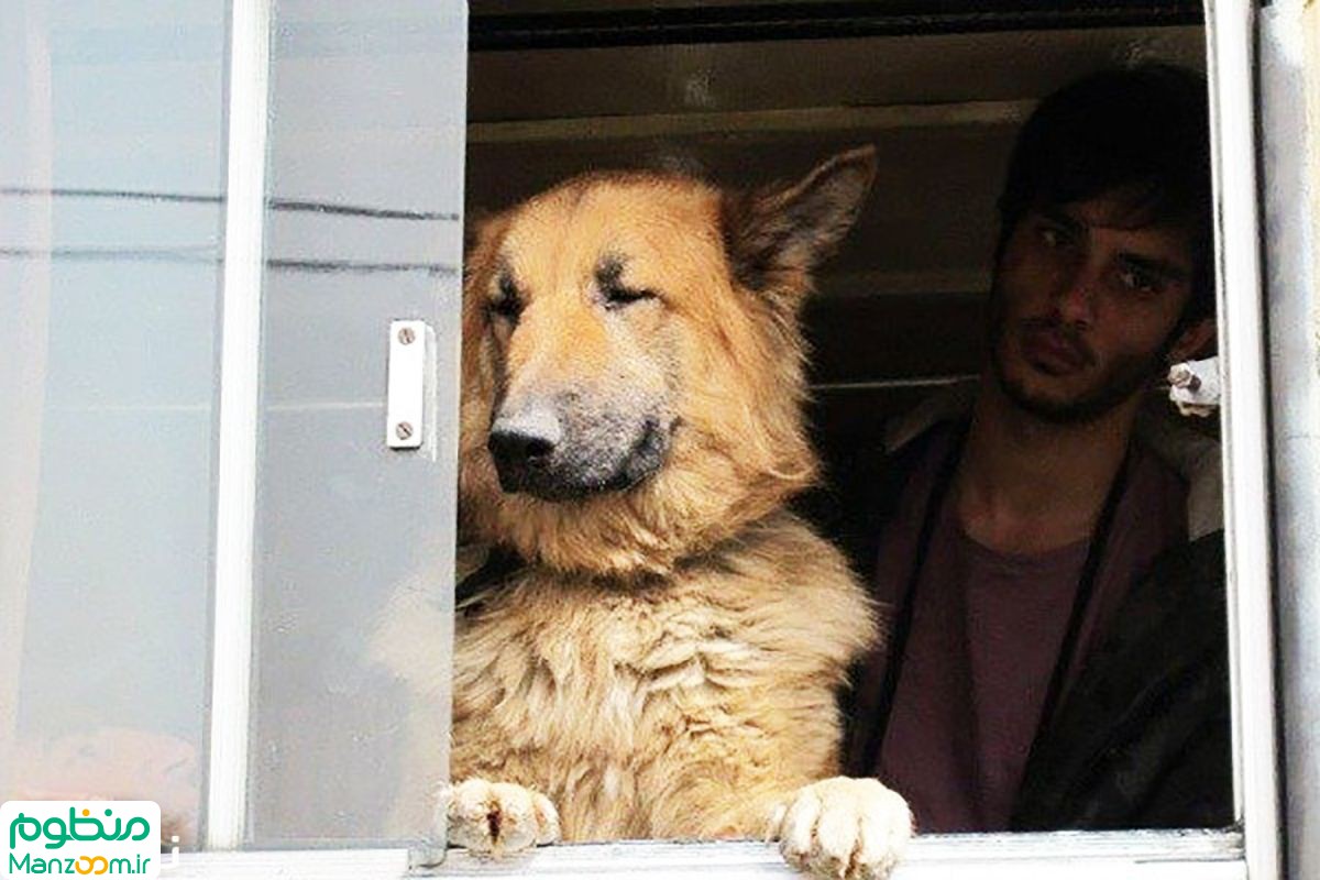  فیلم سینمایی پات به کارگردانی 