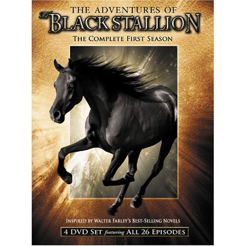  سریال تلویزیونی The New Adventures of the Black Stallion به کارگردانی Bill Corcoran و Paolo Barzman و Alan Simmonds و George Bloomfield و Peter D. Marshall و Mitchell Gabourie و Olivier Descamps و Christian Le Hémonet و Michel Tréguer و Emilio Pacull