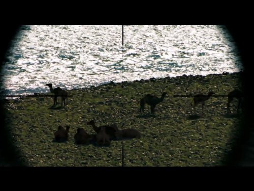  فیلم سینمایی تک تیرانداز به کارگردانی آنتونی فوکوا