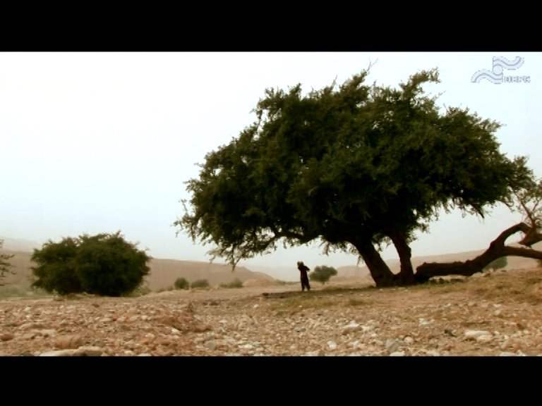  فیلم سینمایی مرثیه‌ای برای سینما به کارگردانی مصطفی کرمی