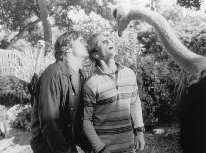  فیلم سینمایی احمق، ماشین من کجاست؟ با حضور Ashton Kutcher و Seann William Scott