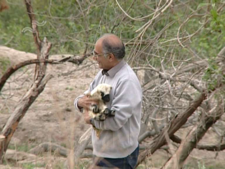  فیلم سینمایی قصه ها به کارگردانی مهدی جعفری