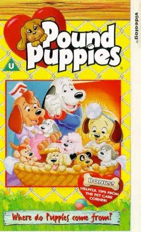  سریال تلویزیونی Pound Puppies به کارگردانی Ray Patterson و Carl Urbano و Rudy Zamora و Don Lusk و Jay Sarbry و Paul Sommer و Arthur Davis و Bob Goe و John Kimball