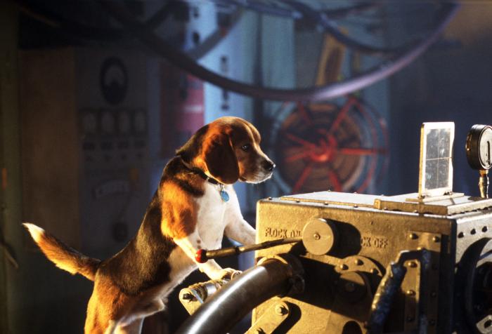  فیلم سینمایی گربه ها و سگ ها به کارگردانی Lawrence Guterman