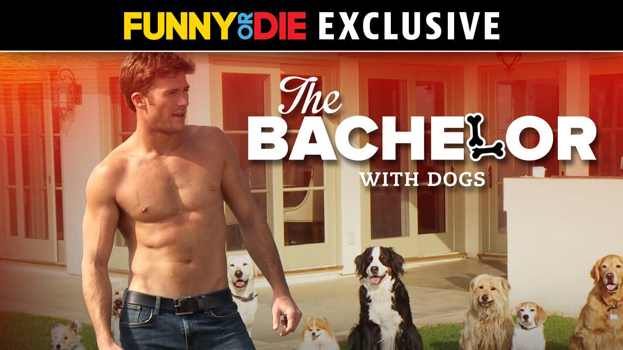  فیلم سینمایی The Bachelor with Dogs and Scott Eastwood به کارگردانی Andrew Bush